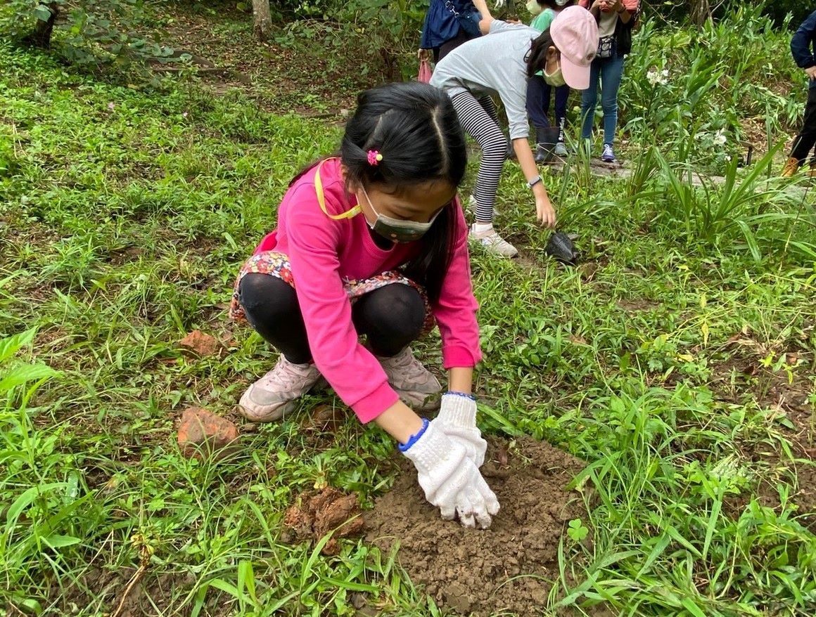 學生用心栽種原生植物 希望校園生態越來越豐富