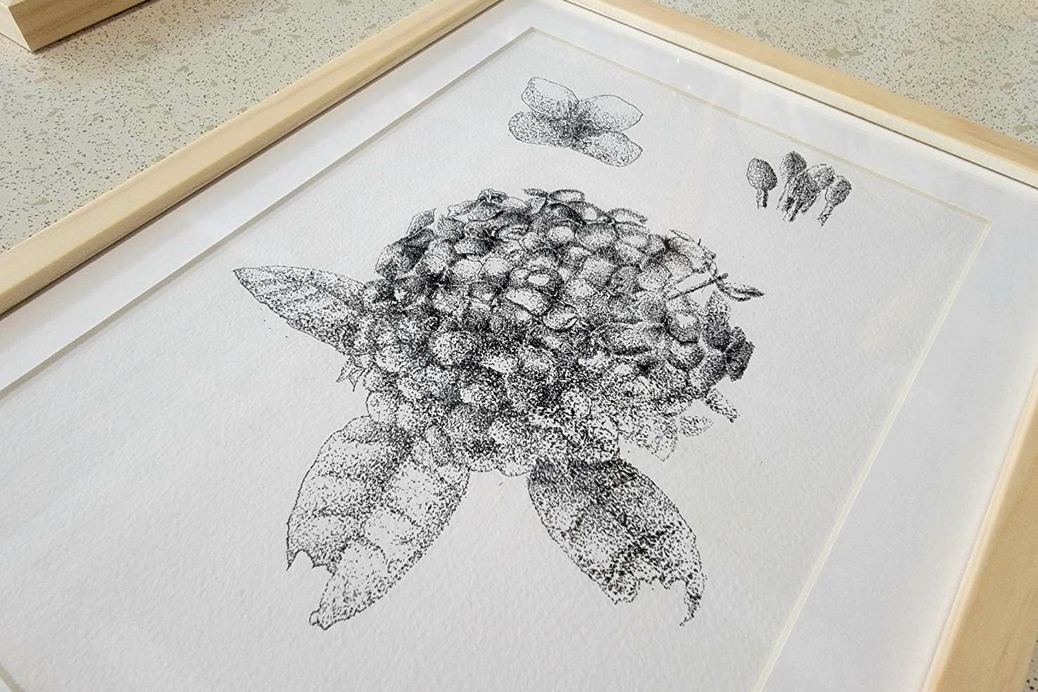 「2022野地博物館－國立臺東女中美術班植物繪圖展」即日起在臺東航空站2樓候機室展出。