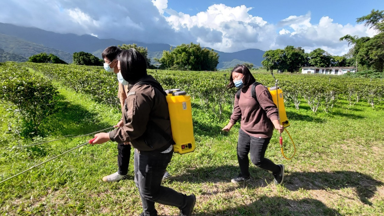 學生進到農場幫忙