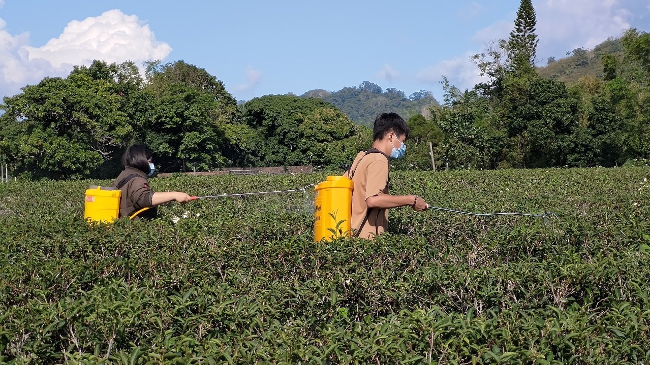 學生進到農場幫忙