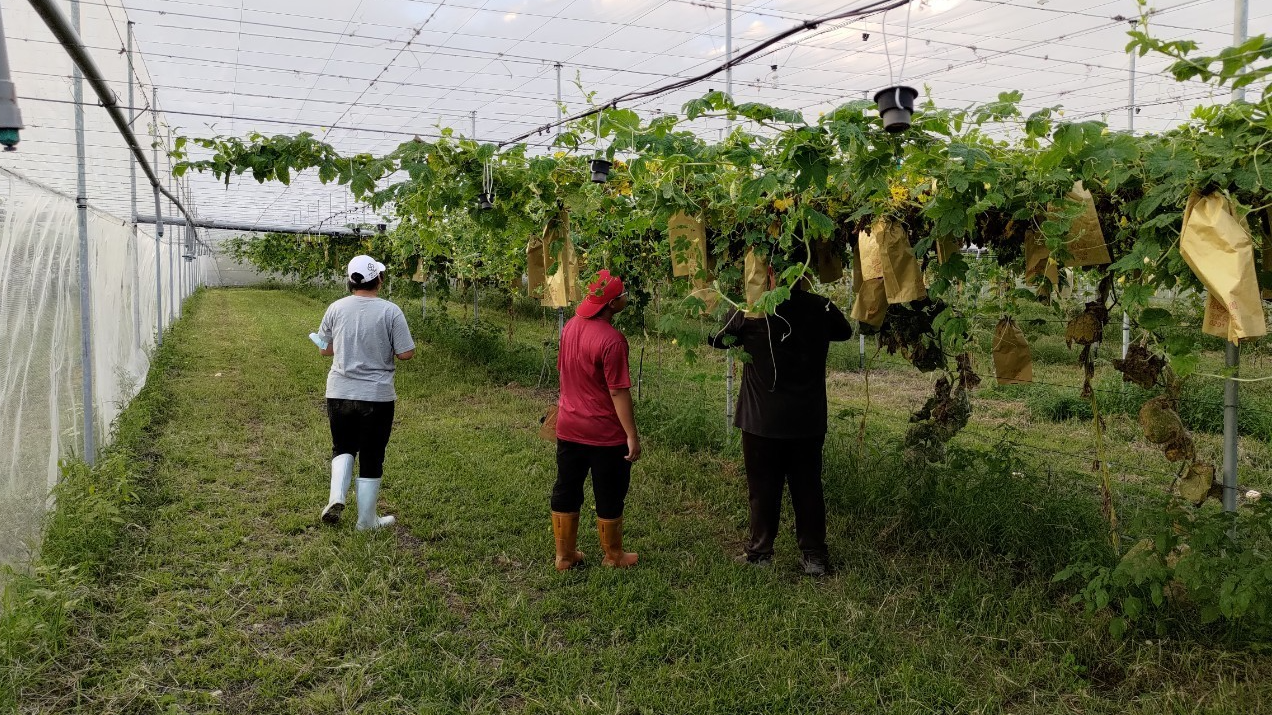 學生進到農場幫忙