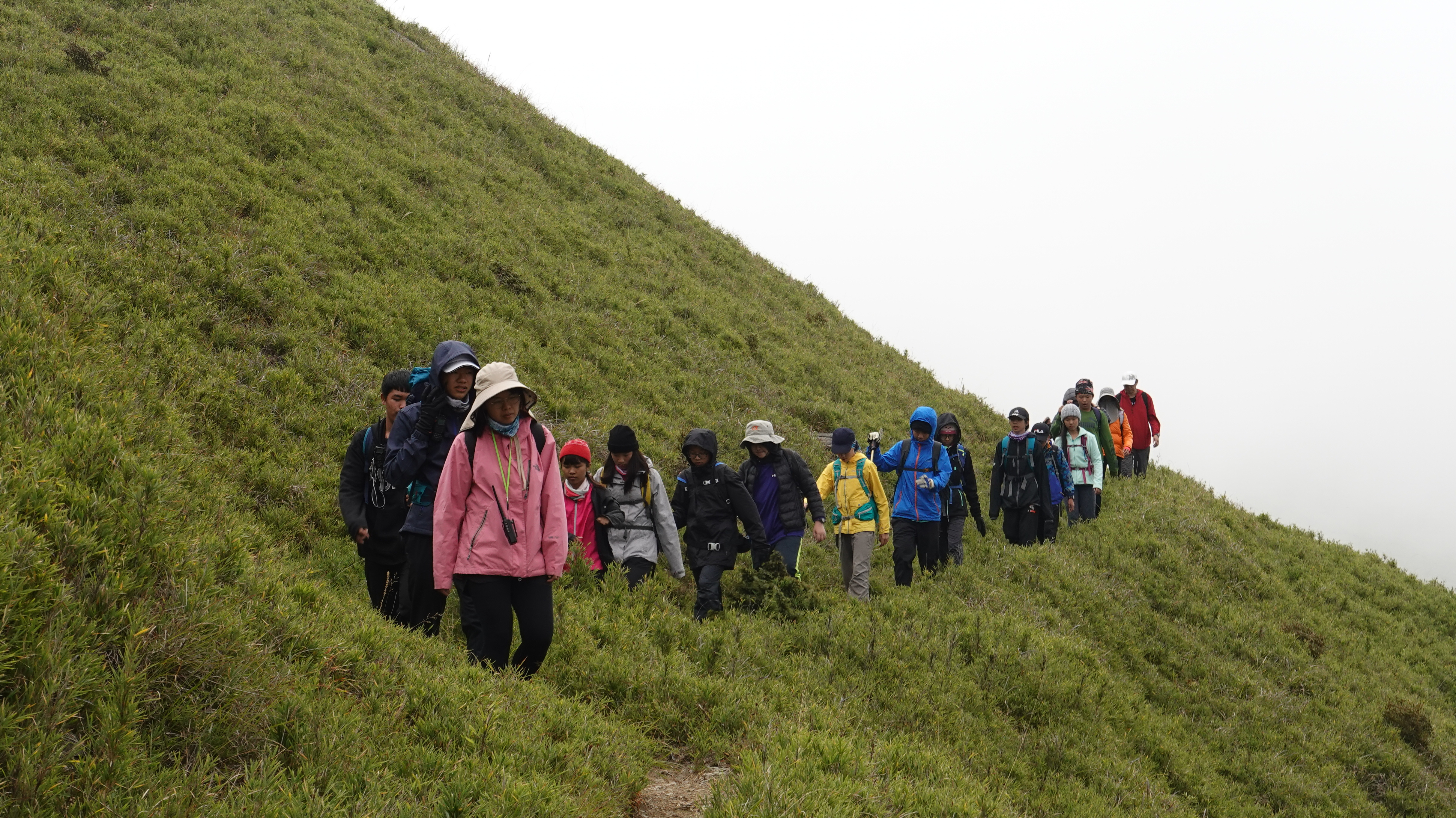 生態走讀-無遠弗屆的戶外圖書館-登山