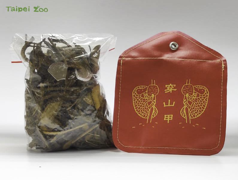 動物園設計闖關活動，讓民眾避免誤食用以野生動物製成的中藥材