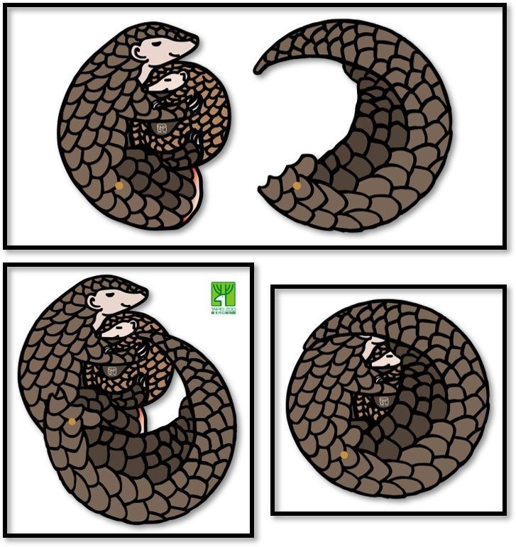 完成闖關者，除了能獲得穿山甲造型DIY明信片，還有機會參與抽獎獲得限量保育福袋