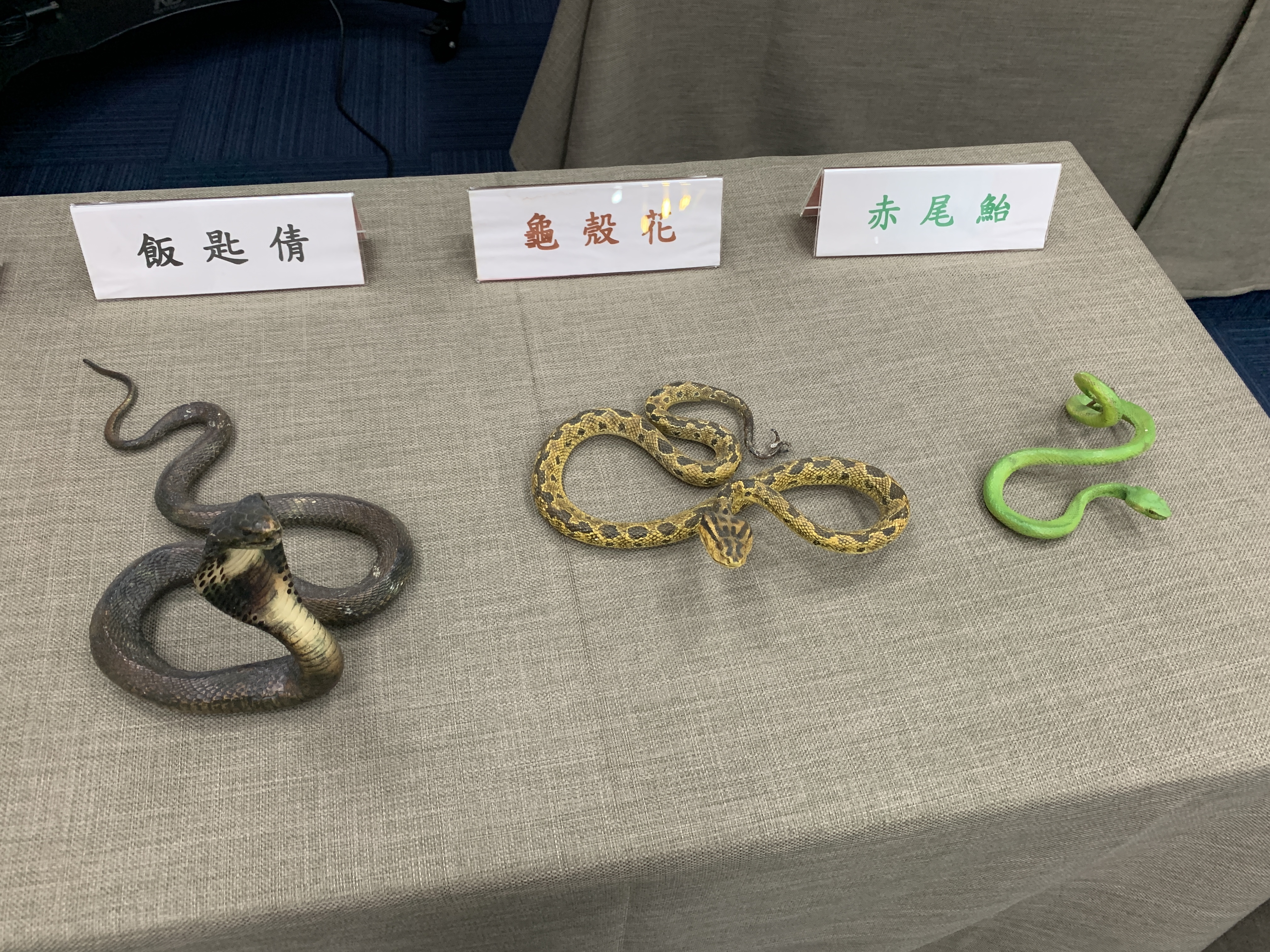 國內較常見的毒蛇分別為出血性毒的龜殼花、赤尾鮐(俗稱赤尾青竹絲)與百步蛇；神經性毒的飯匙倩(俗稱眼鏡蛇)與雨傘節，以及兼具出血和神經毒的鎖鏈蛇