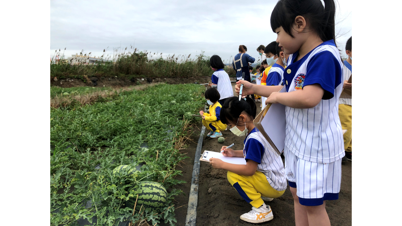 水果在寶島：消暑好滋味「西瓜」