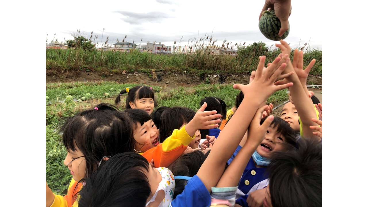 水果在寶島：消暑好滋味「西瓜」