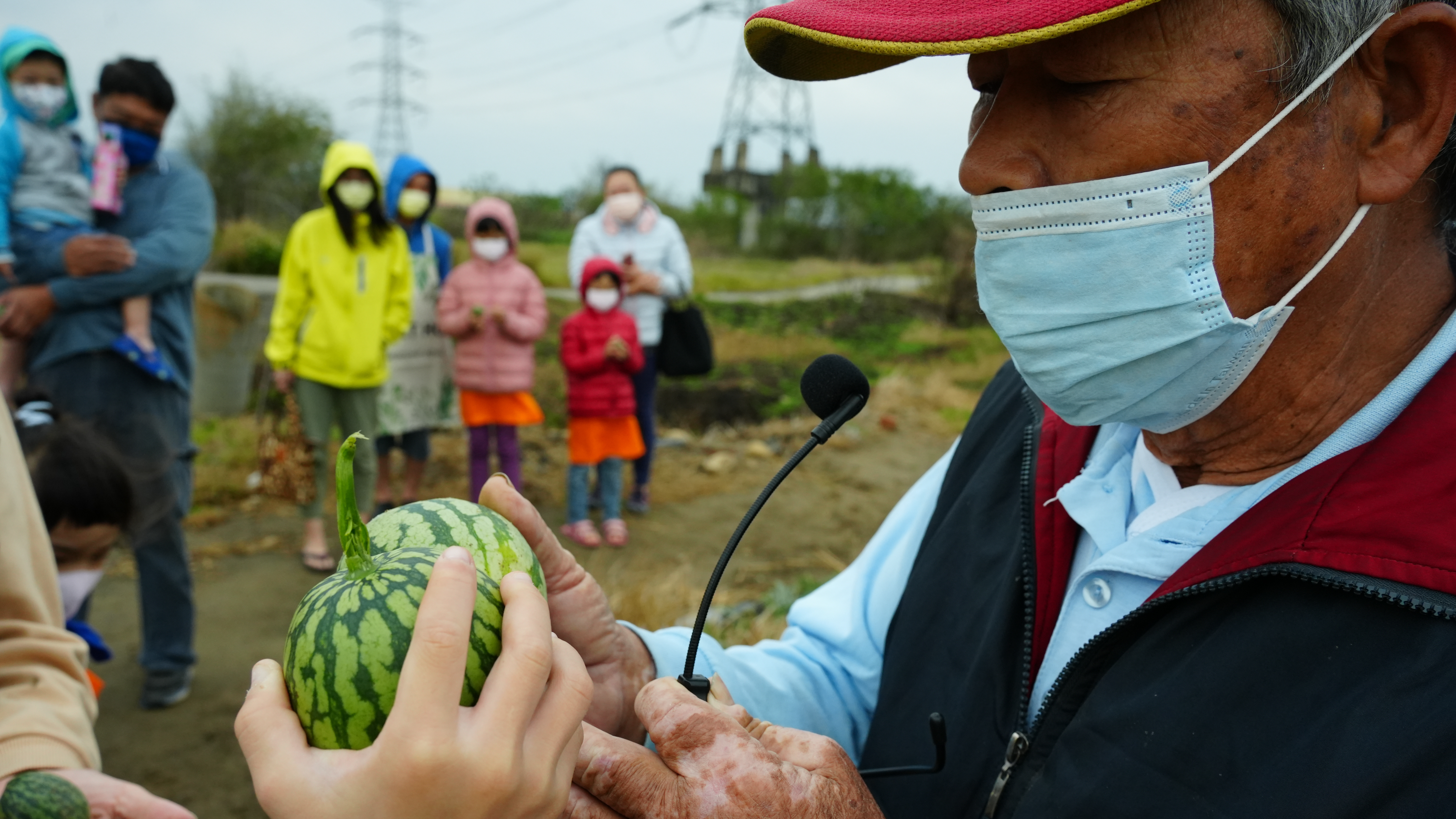 水果在寶島：消暑好滋味「西瓜」