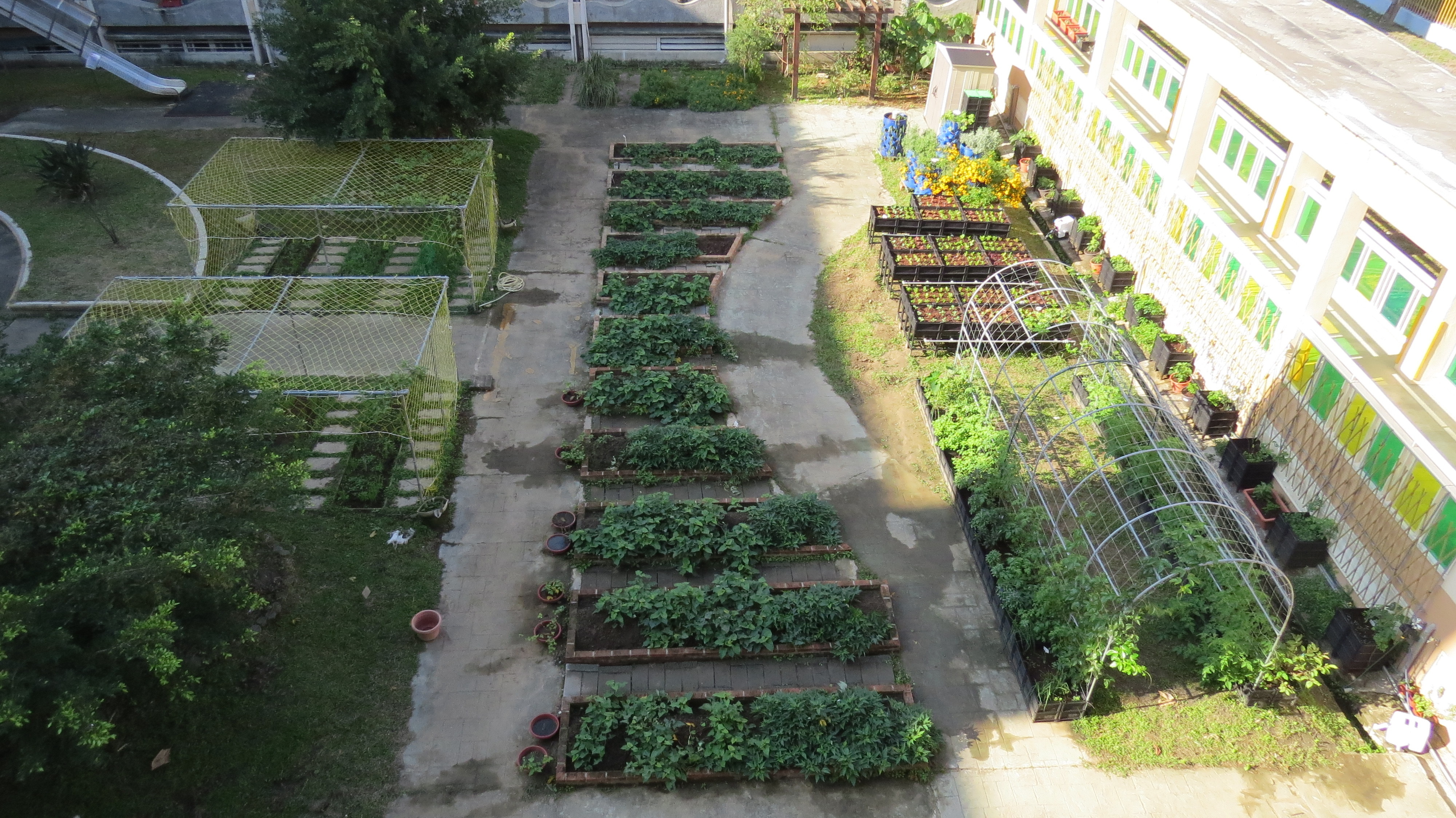 食農教育萬花筒1：都市中的綠園地—
臺北市清江國小

