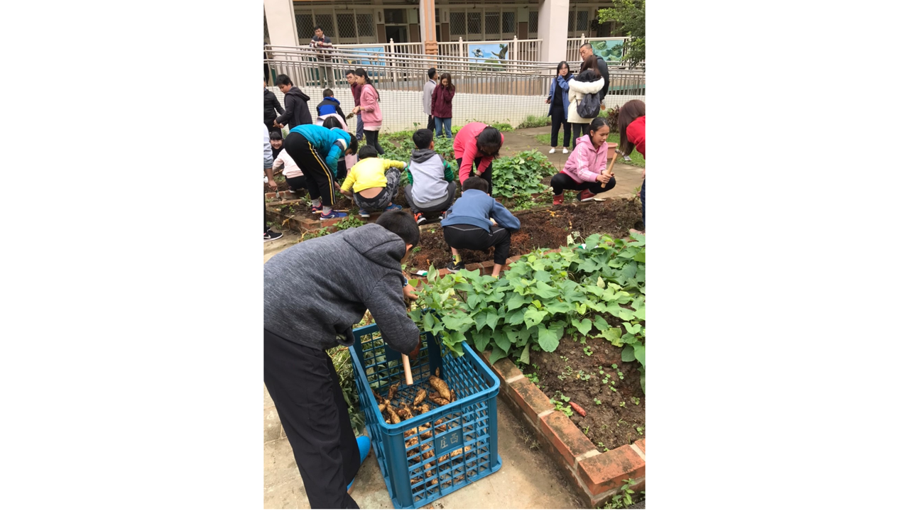 食農教育萬花筒1：都市中的綠園地—
臺北市清江國小

