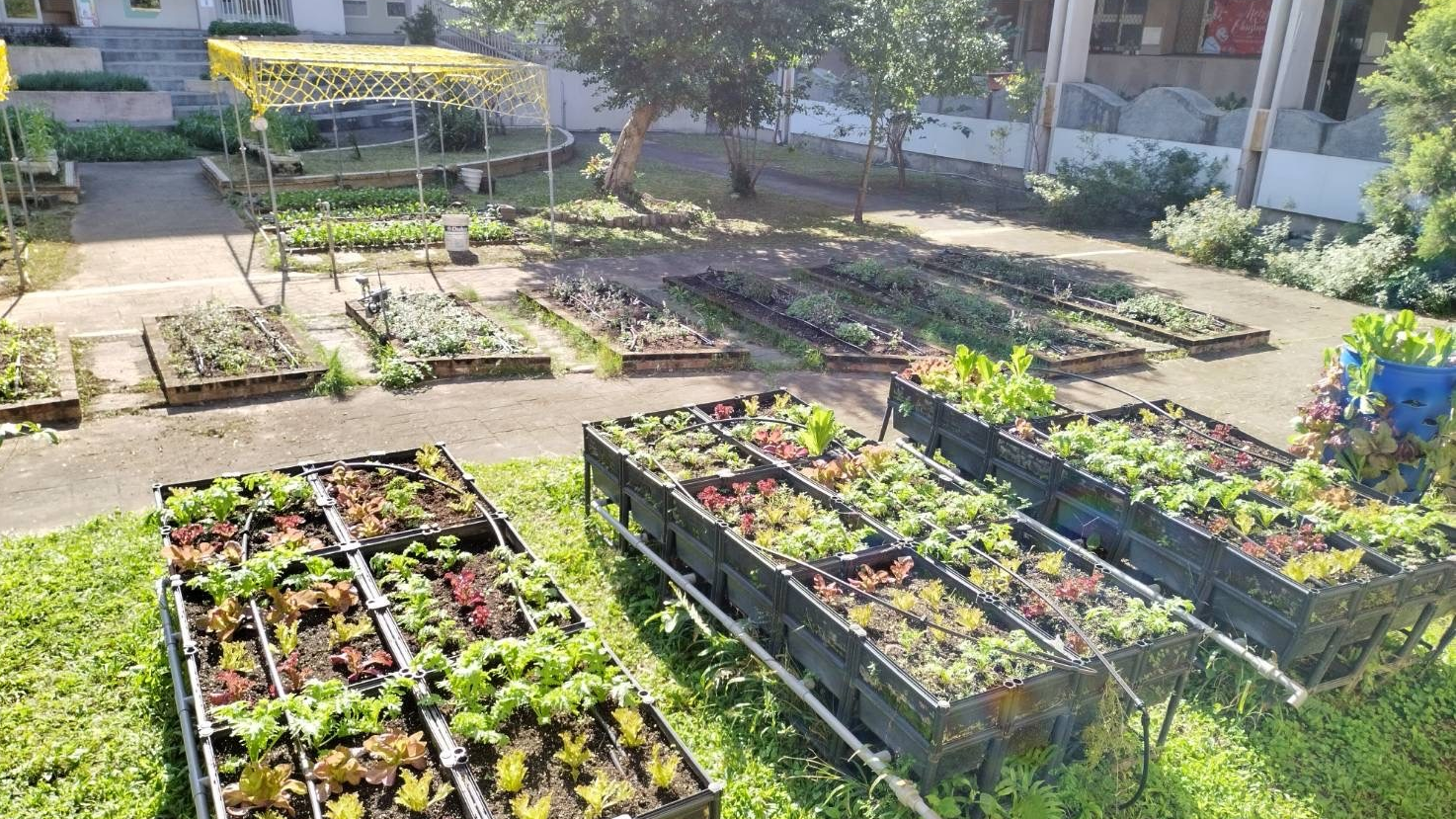 食農教育萬花筒1：都市中的綠園地—
臺北市清江國小

