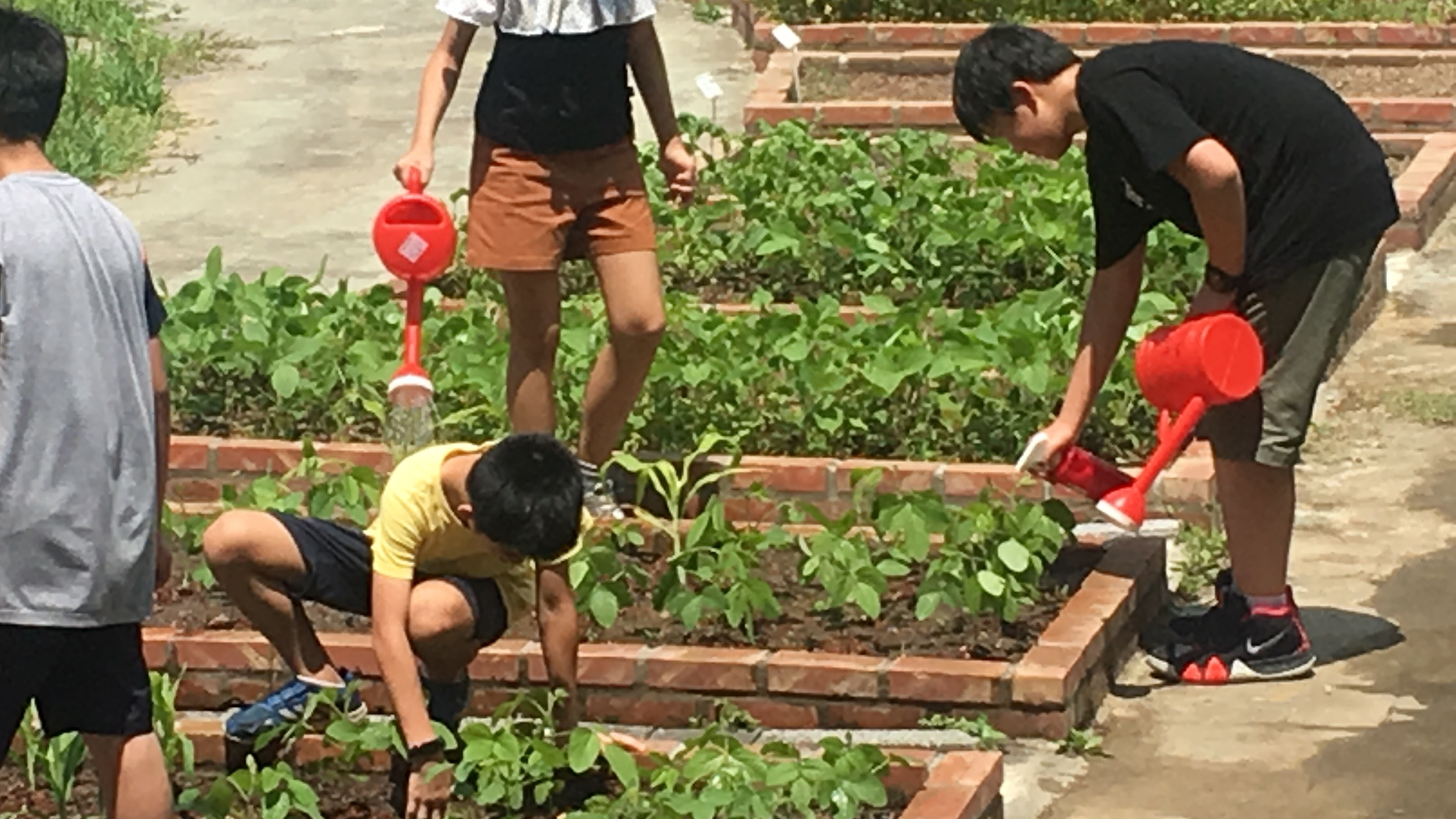 食農教育萬花筒1：都市中的綠園地—
臺北市清江國小

