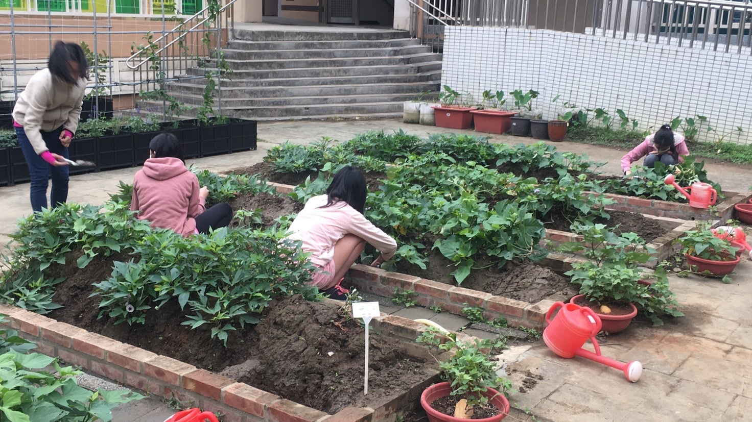 食農教育萬花筒1：都市中的綠園地—
臺北市清江國小

