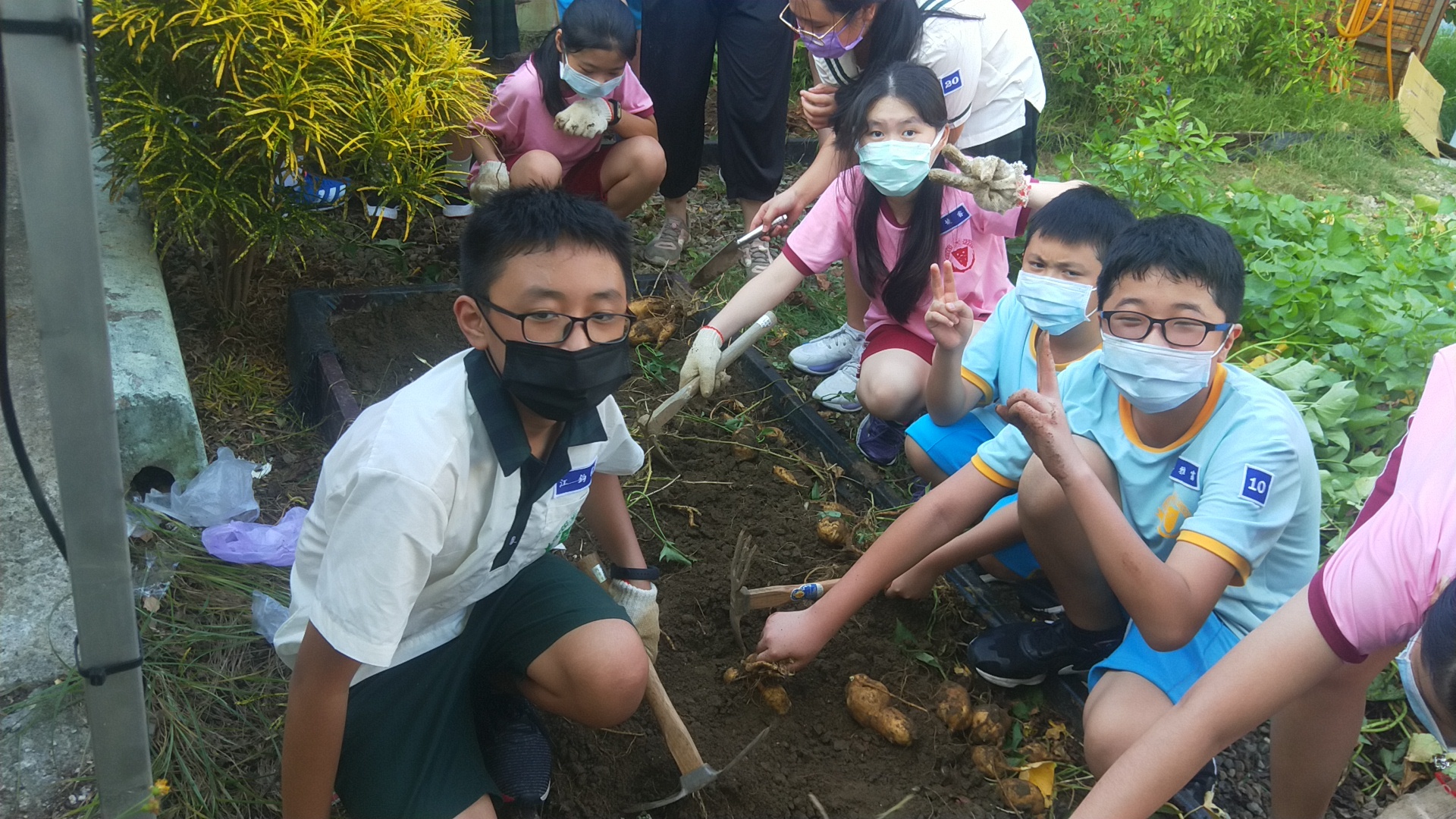 食農教育萬花筒2：桃園內壢國中「食農花園」