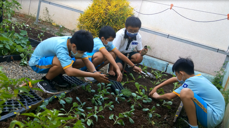 食農教育萬花筒2：桃園內壢國中「食農花園」