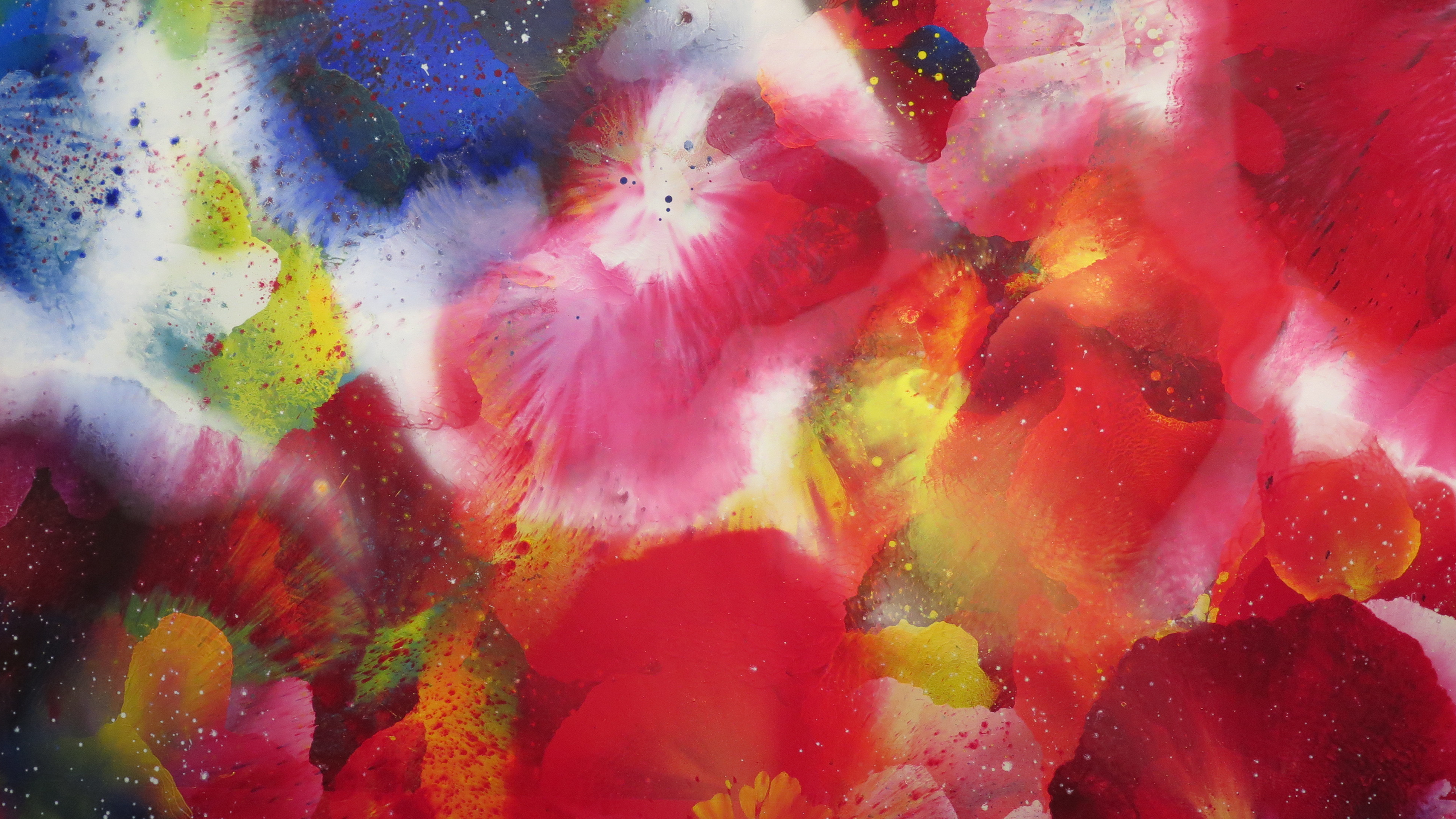 比西里岸之夢1_江賢二