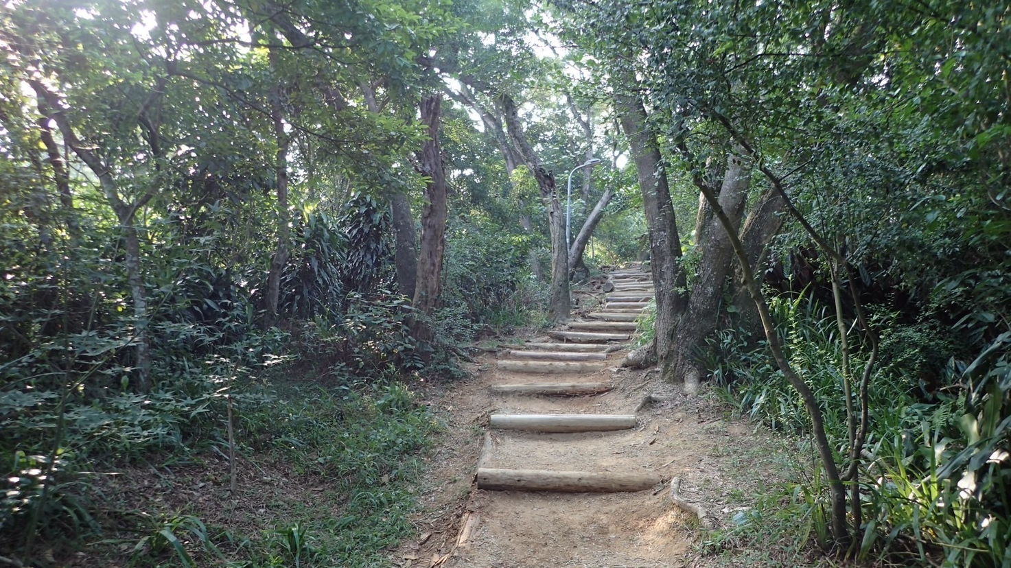 步旅城南綠美學 1