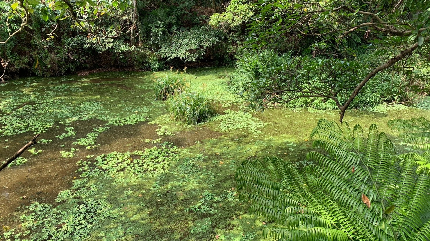 步旅城南綠美學 3