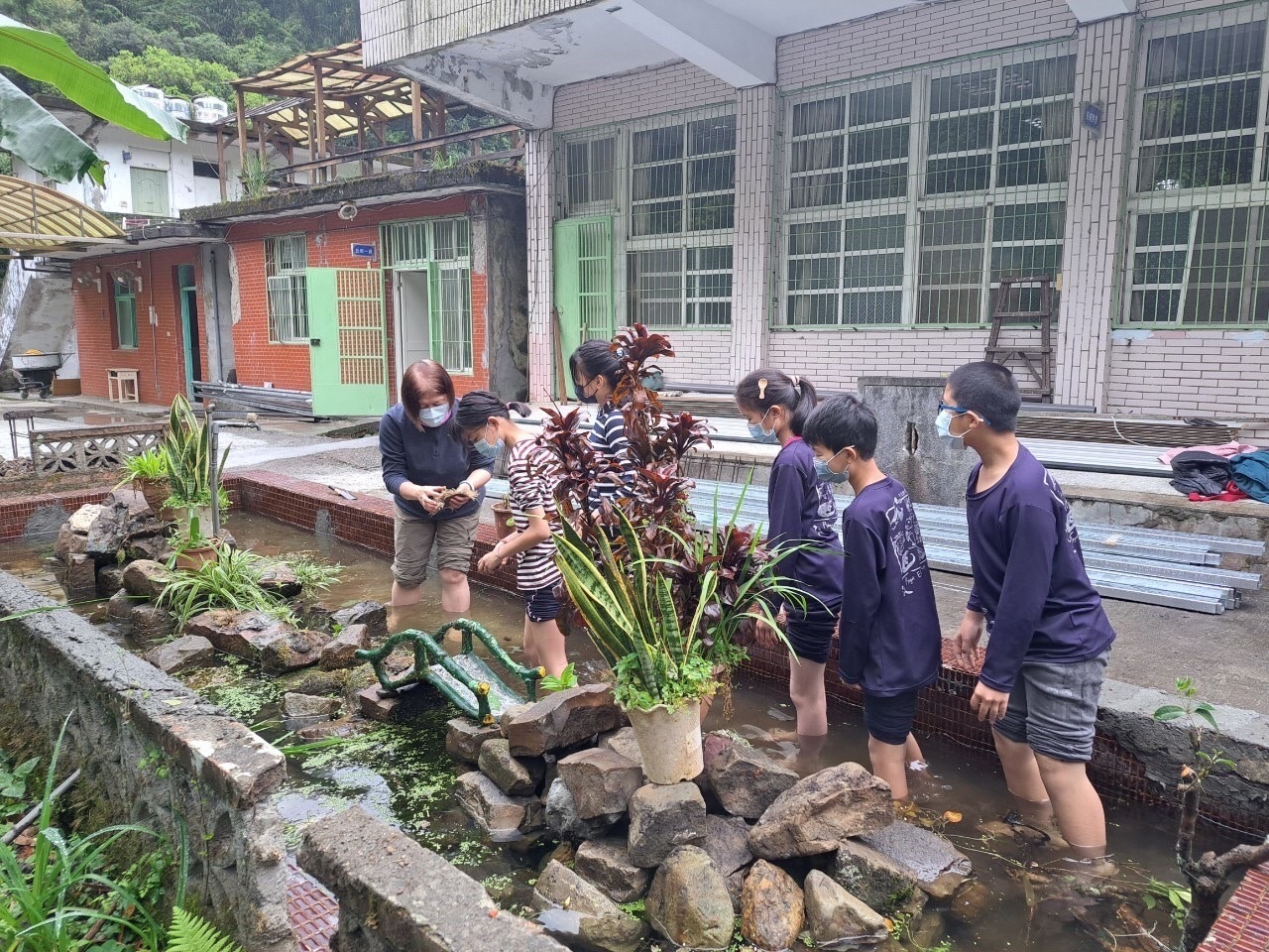 平溪國小學生參與東勢分班水生池植栽種植