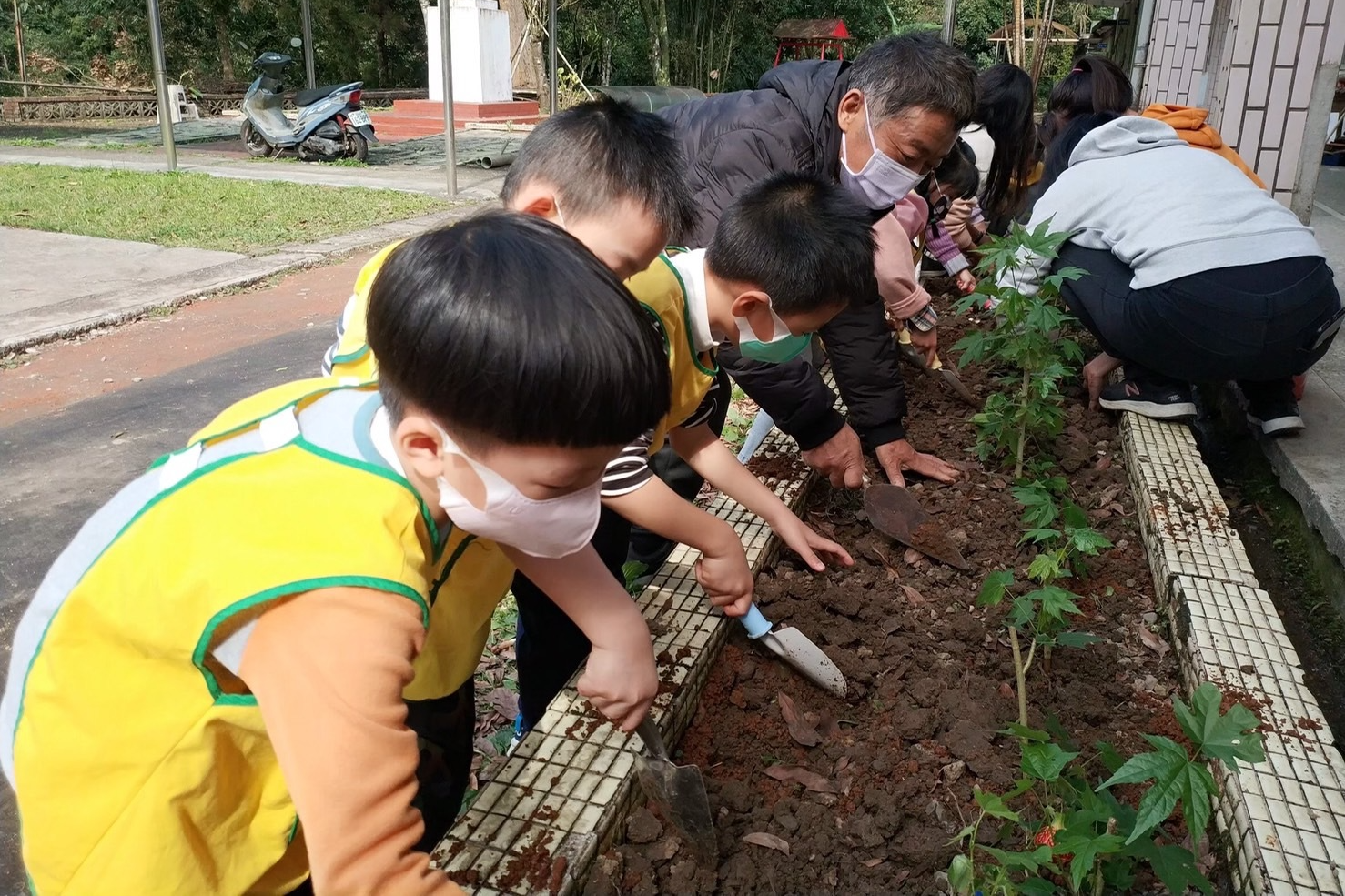 平溪國小幼兒園開心地參與分班的燈籠花栽種