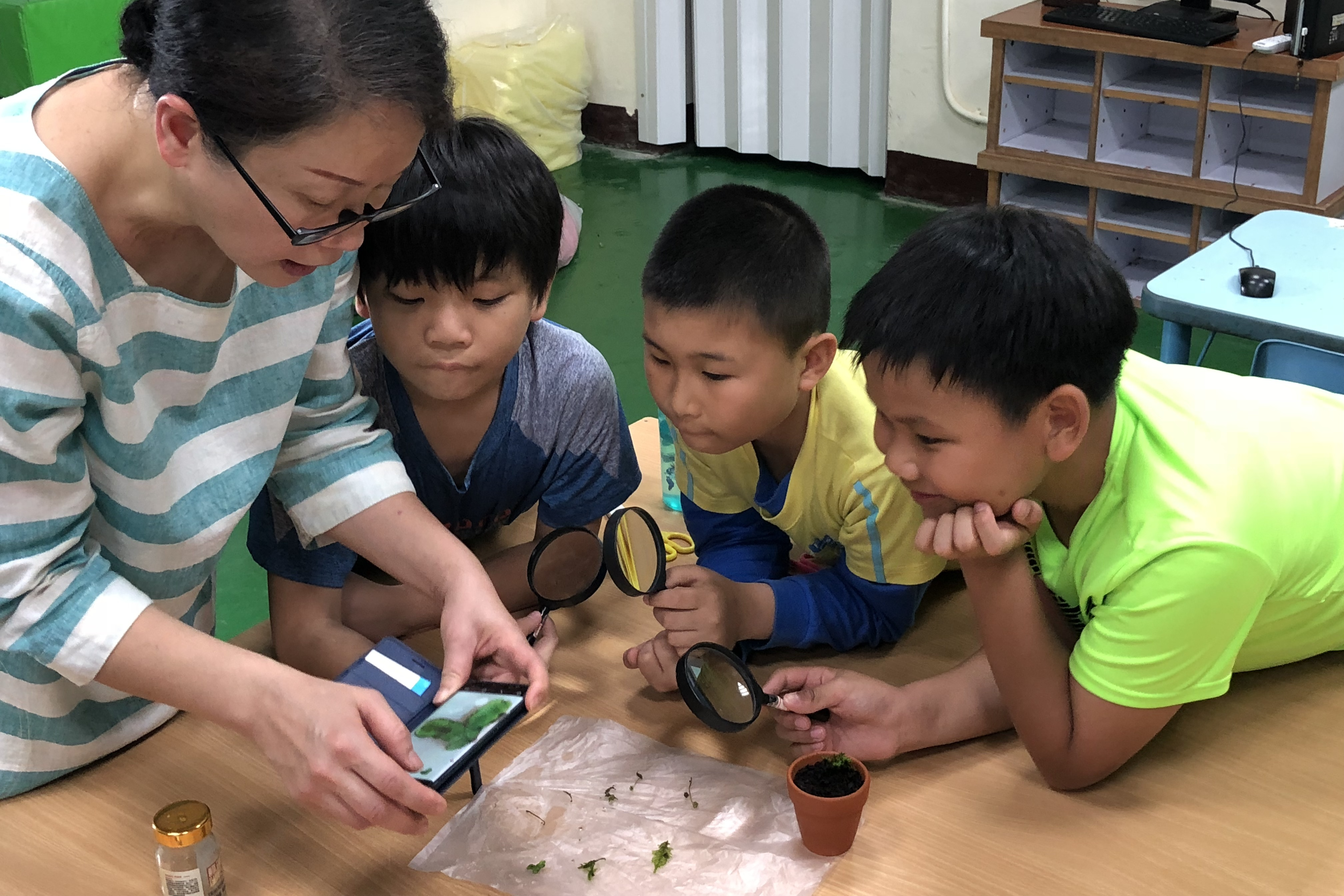 平溪國小「苔可愛」課程 自然課用放大鏡觀察苔蘚的形狀