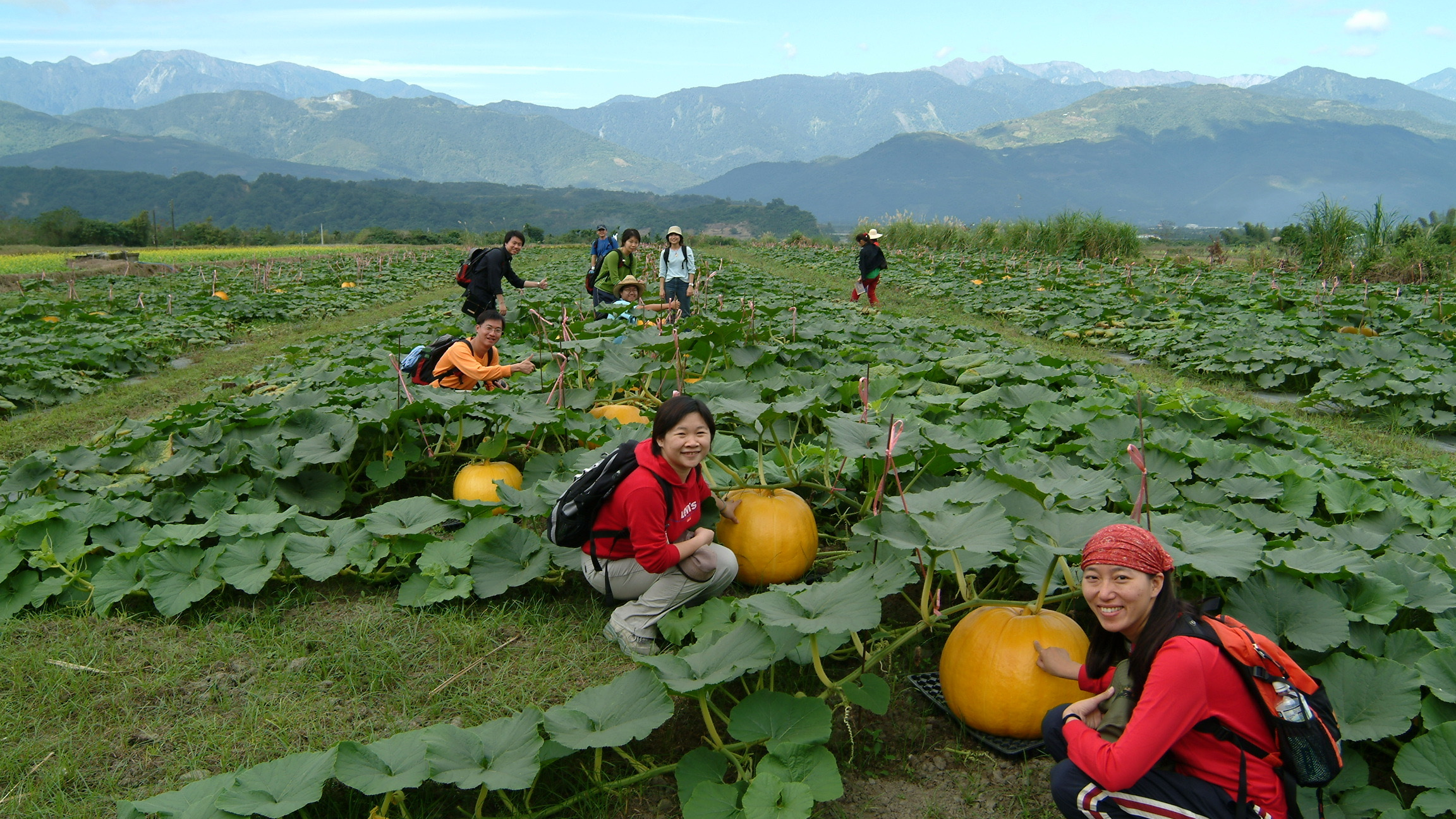 花東浪遊與在地生活｜在玉里發現農民種的超大南瓜