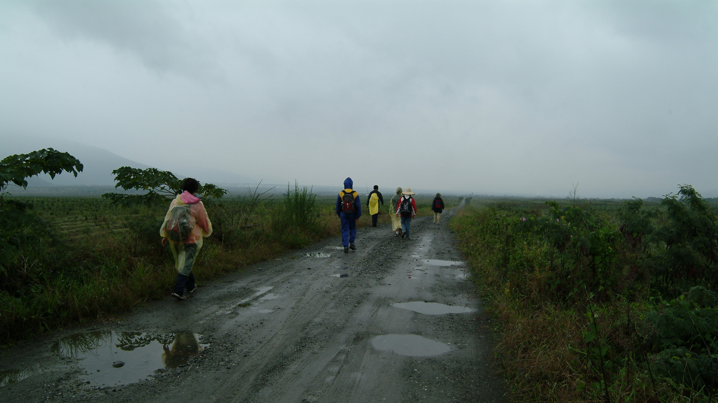 花東浪遊與在地生活｜踽踽前行，行經光復大平原之天蒼蒼地茫茫