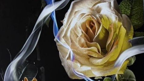 攝影作品(花)_黃進福