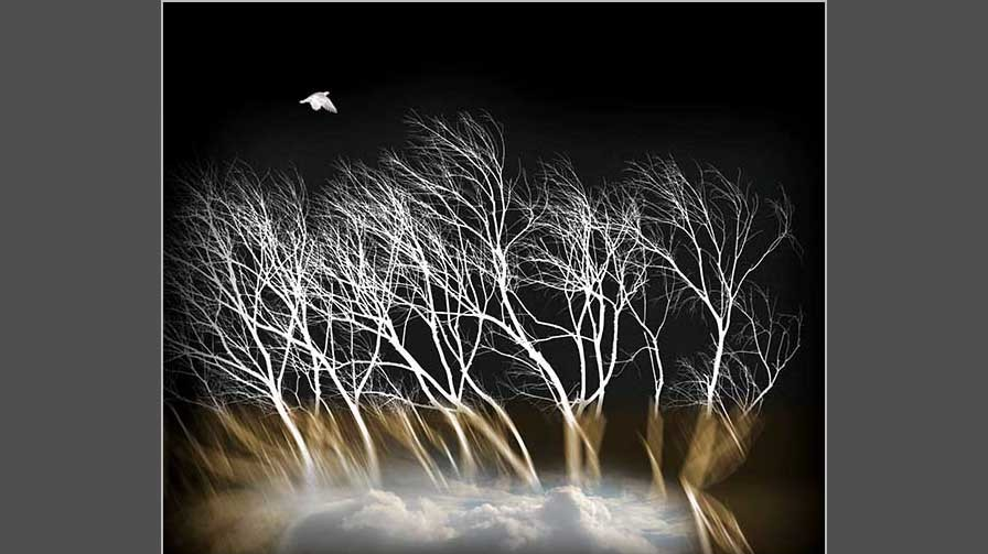 在我心中的寧靜海_張宏聲