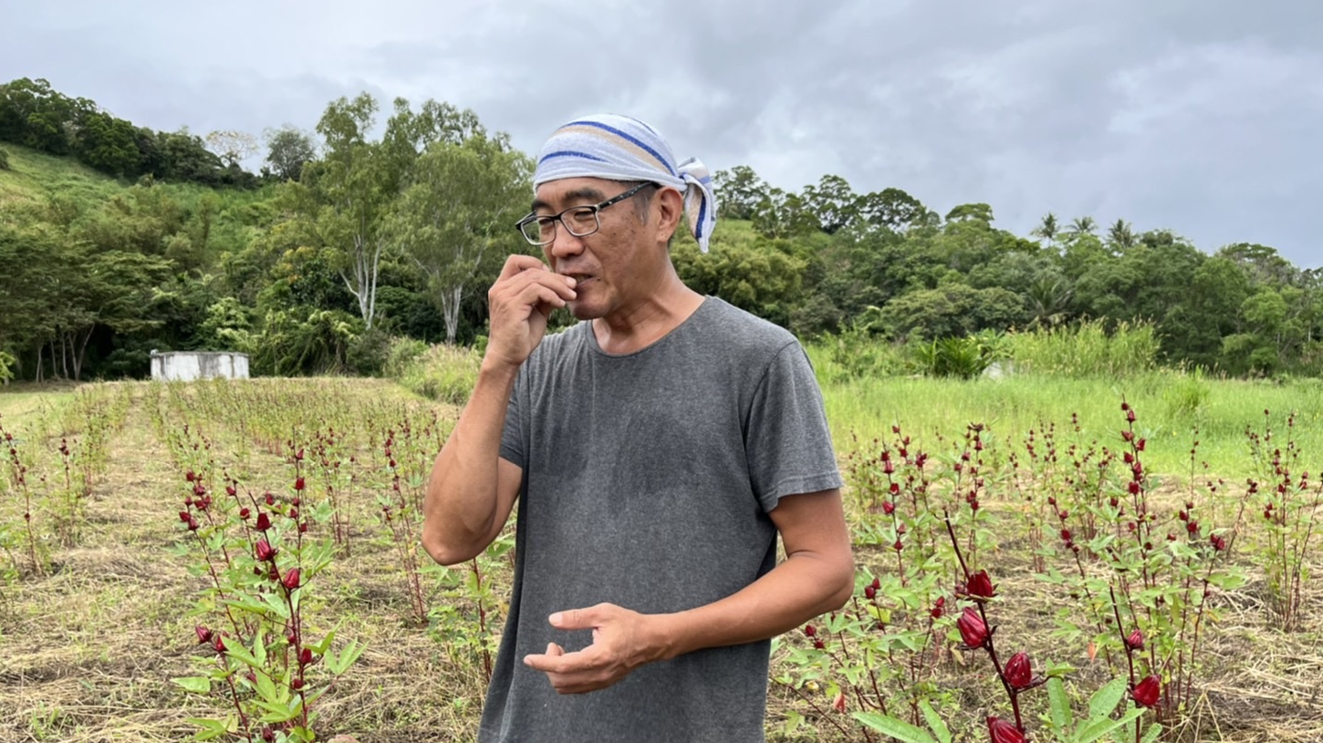 「長濱契作區」農場主人李登庸與洛神花田