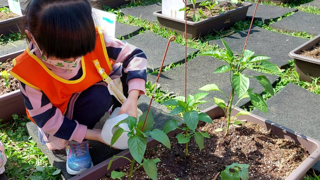 照片由暖西非營利幼兒園提供