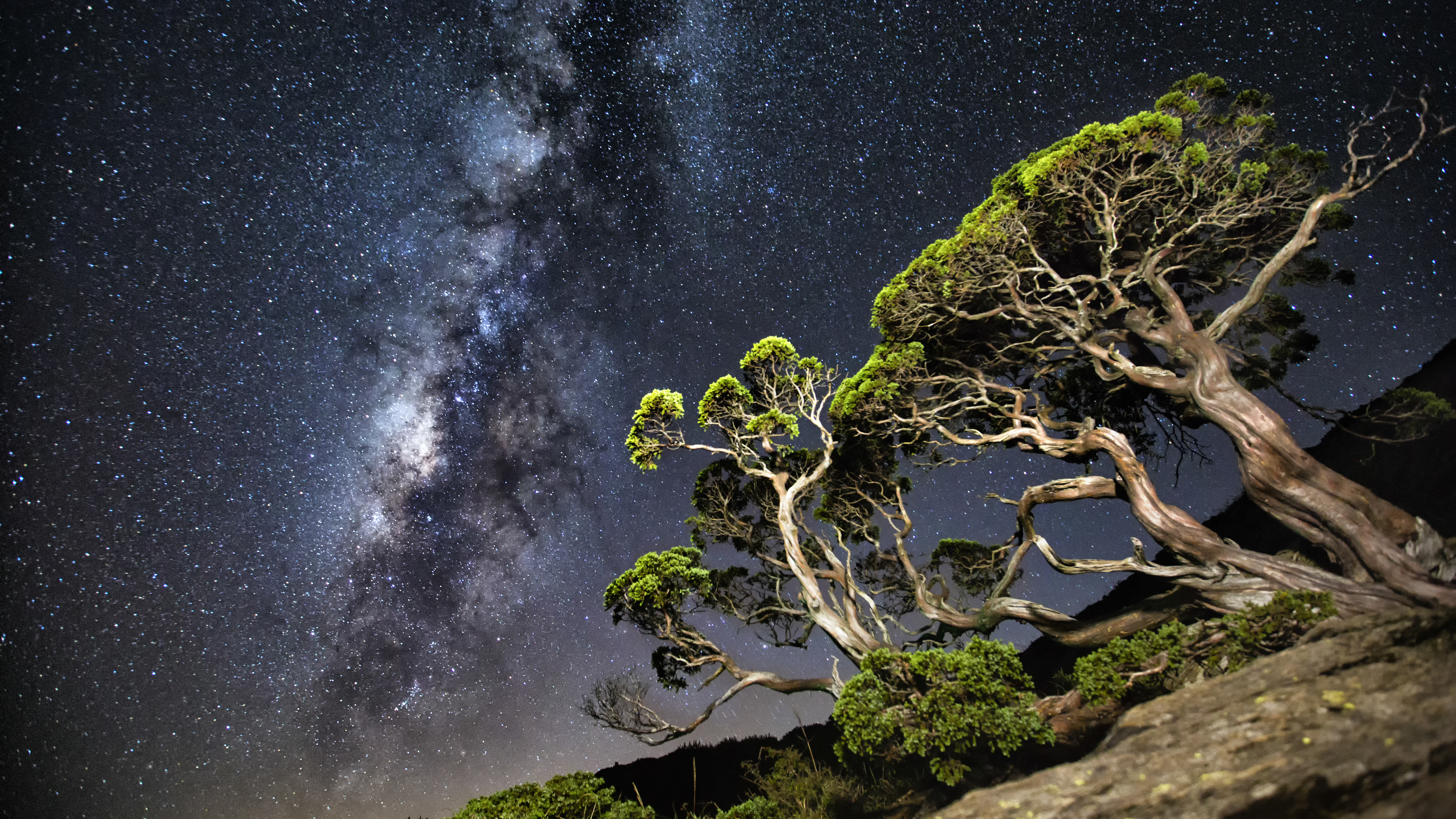 合歡星空軸線相當受到遊客歡迎。(圖片來源：參山處提供)