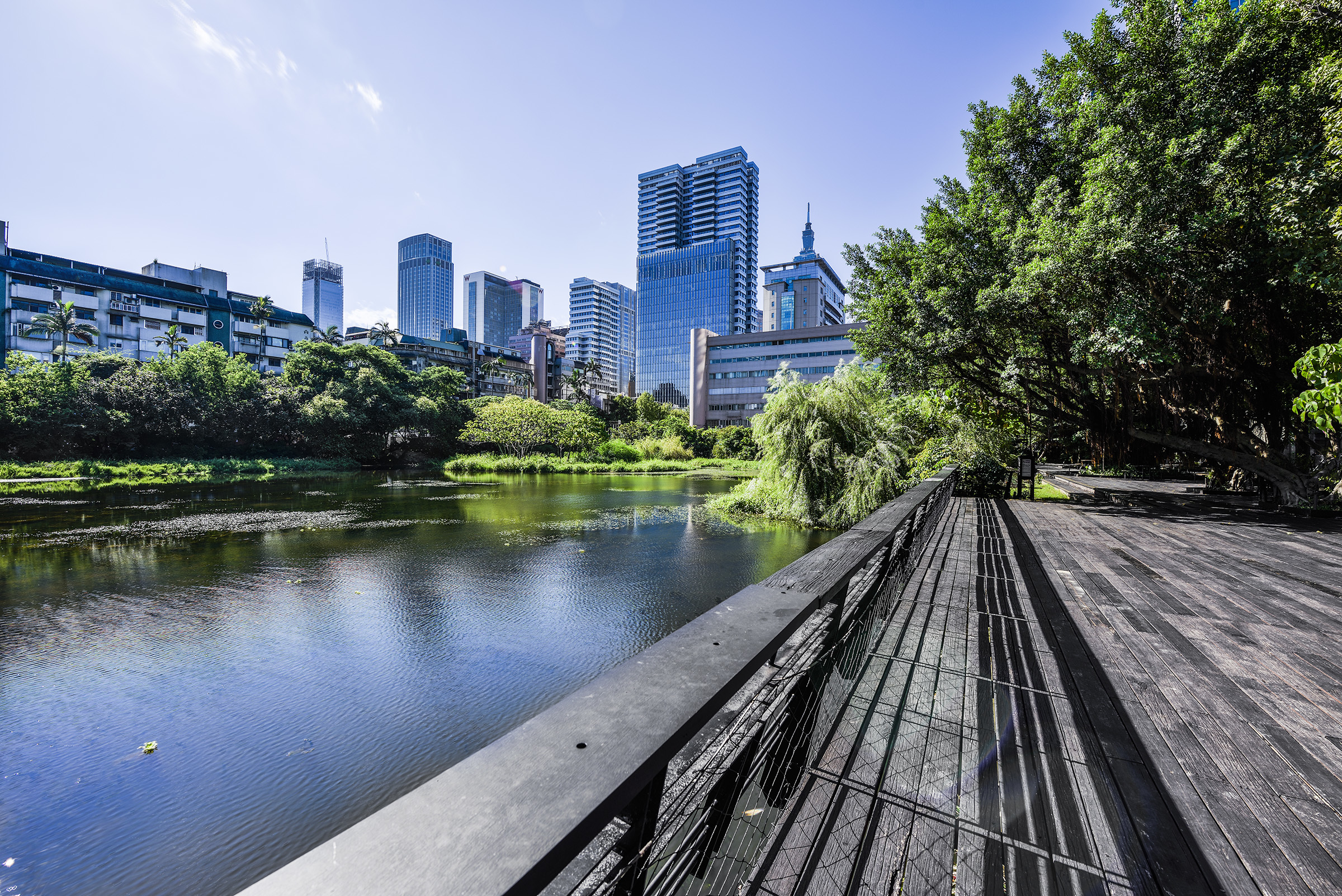 松山文創園區內的生態景觀池與景觀木棧平臺，是城市中的生態棲地