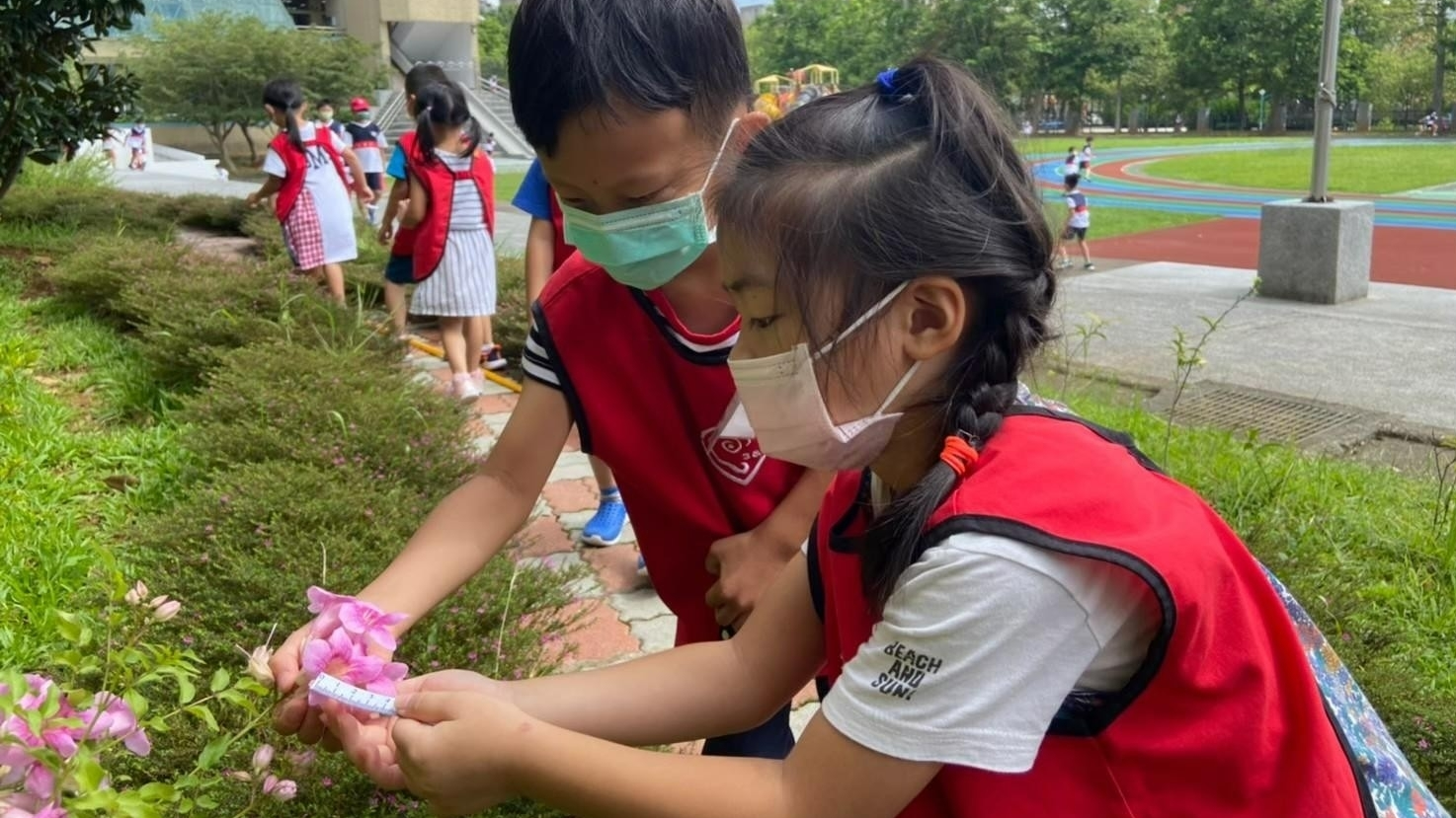 文華非營利幼兒園