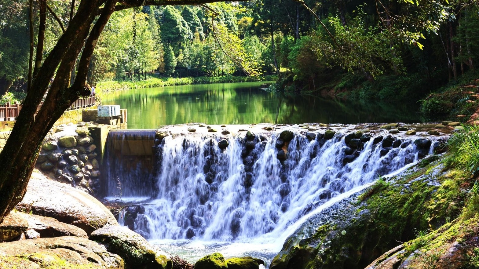 杉林溪有不可錯過的十大景觀(圖片來源：自然教育中心提供)