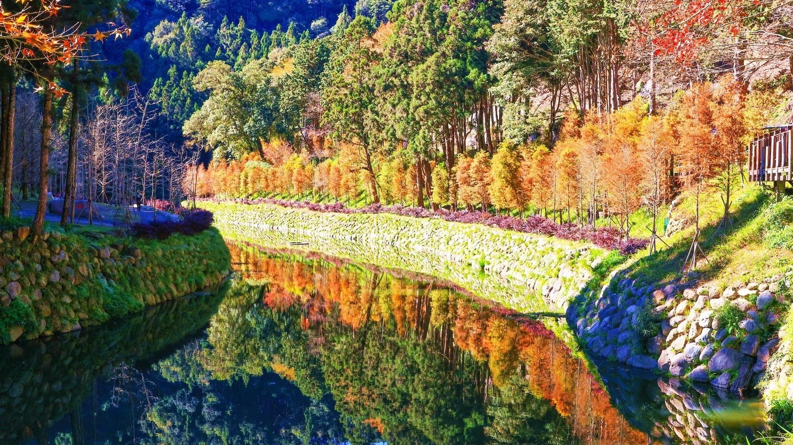 杉林溪風景優美且氣候宜人四季都適合旅遊(圖片來源：自然教育中心提供)