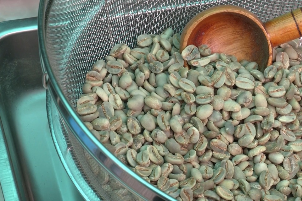 太麻里金針山休閒農業區的民宿業者，以自家種植的咖啡規畫農遊體驗，帶民眾走進農場認識咖啡，嘗試親手烘焙咖啡豆。