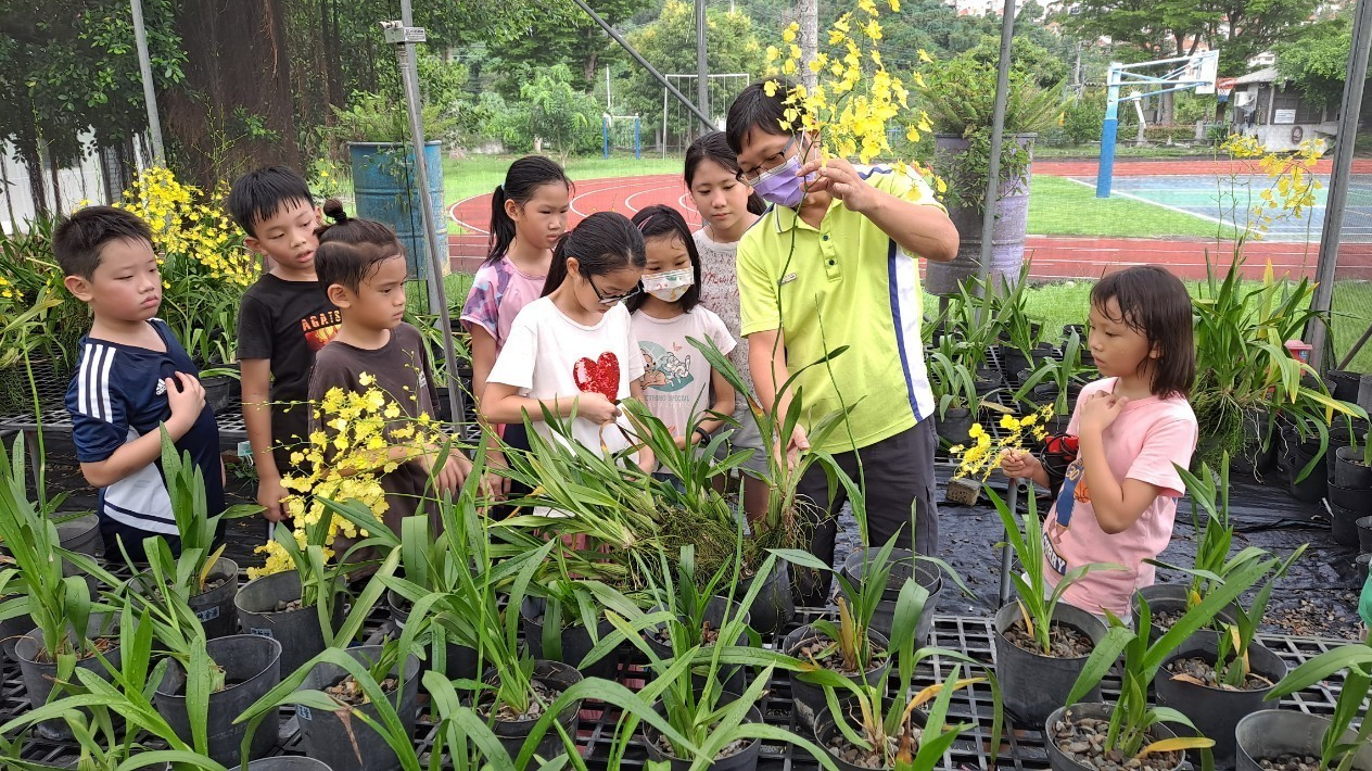 大坑國小老師介紹文心蘭