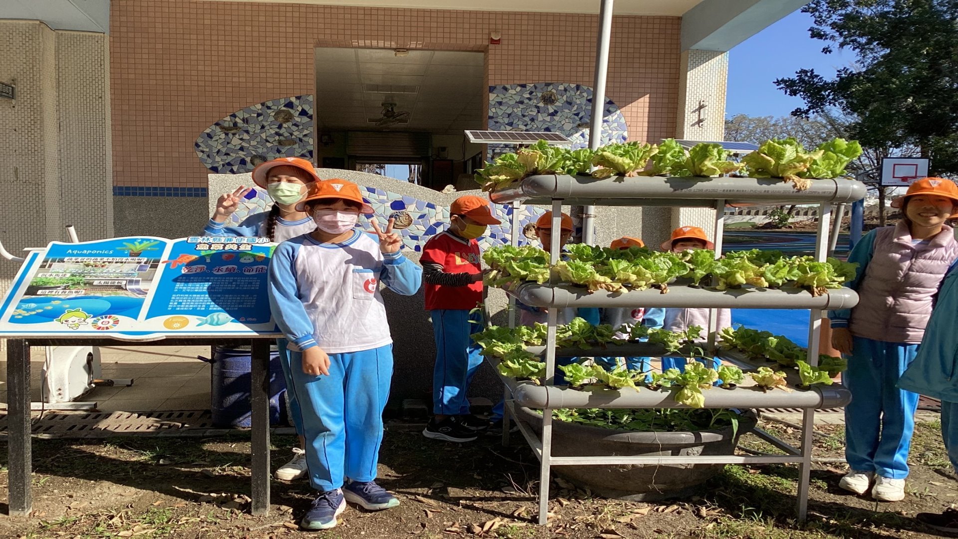 魚菜共生讓小朋友了解環保與永續