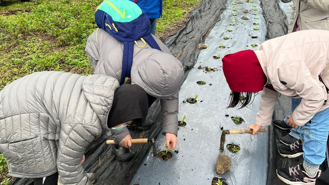 為了進一步瞭解童工的生活，師生特別前往尖石鄉體驗農作。