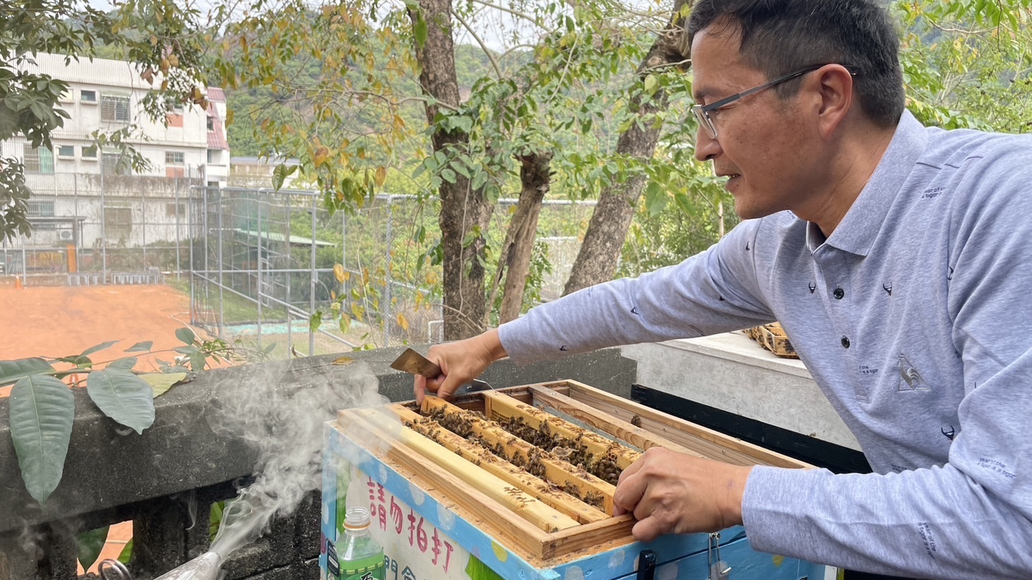 桐林國小內飼養蜜蜂讓學生認識當地產業(圖片來源：桐林國小提供)