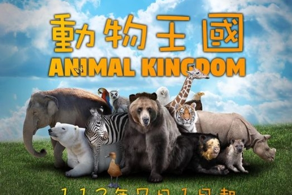 位於基隆的國立海洋科技博物館今年暑假特別精選「動物王國」影片，即日起在海洋劇場新片上映。(海科館提供)