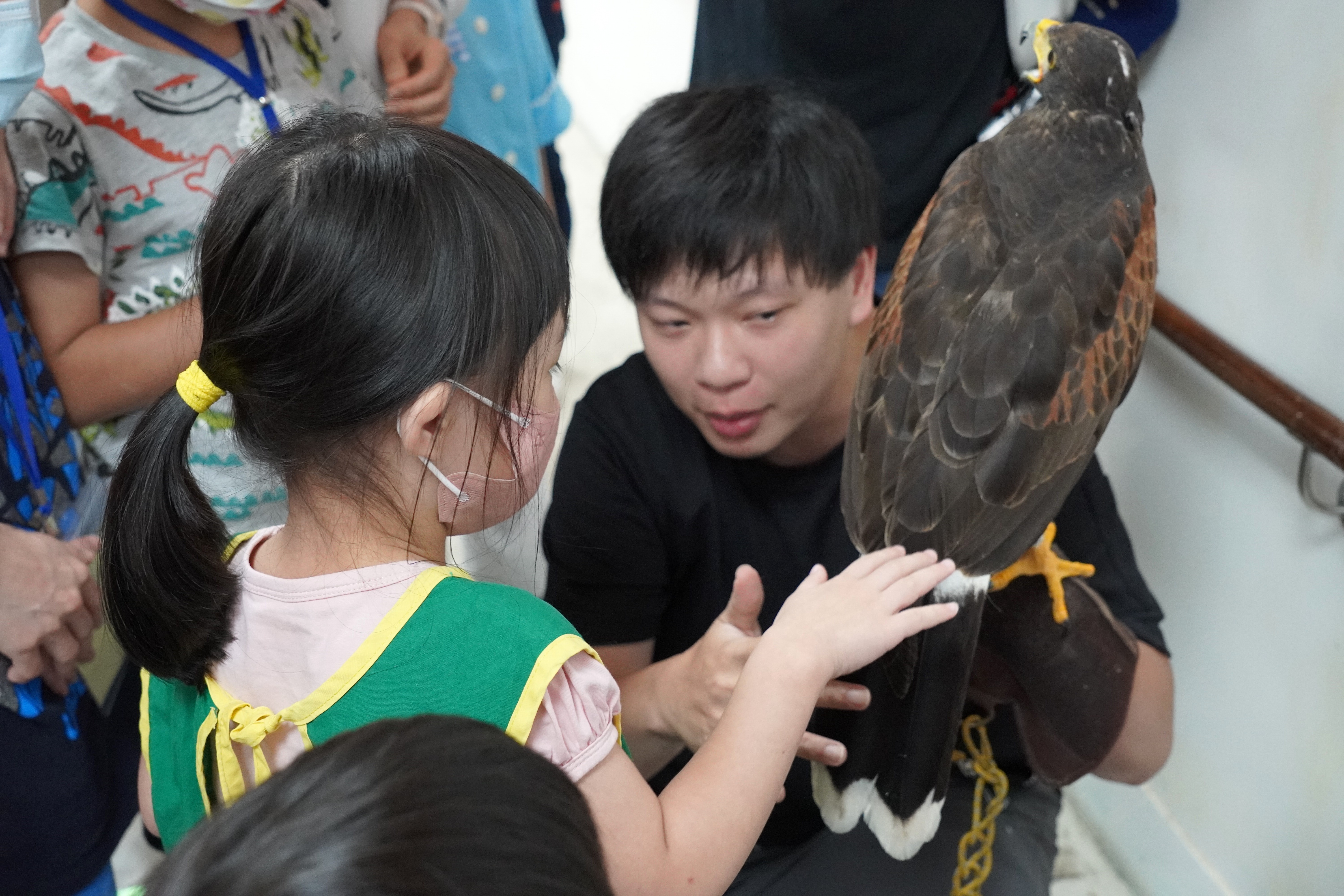在林津譽老師（右）的鼓勵下  星兒終於鼓起勇氣撫摸老鷹的羽毛