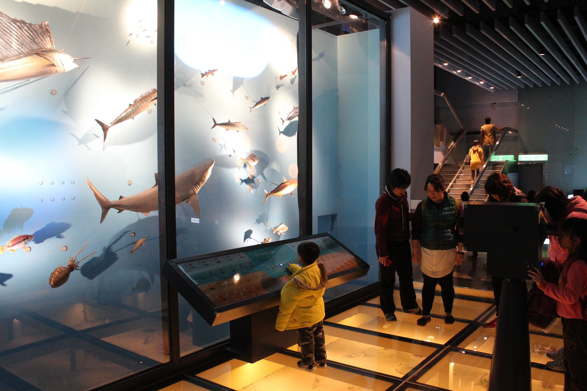 國立海洋科技博物館是一個以海洋為中心的主題館，虛實整合的實境水族館深入海底世界