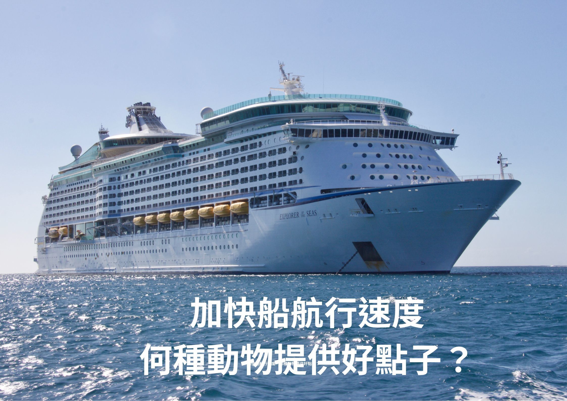 加快船航行速度，那種動物提供好點子？