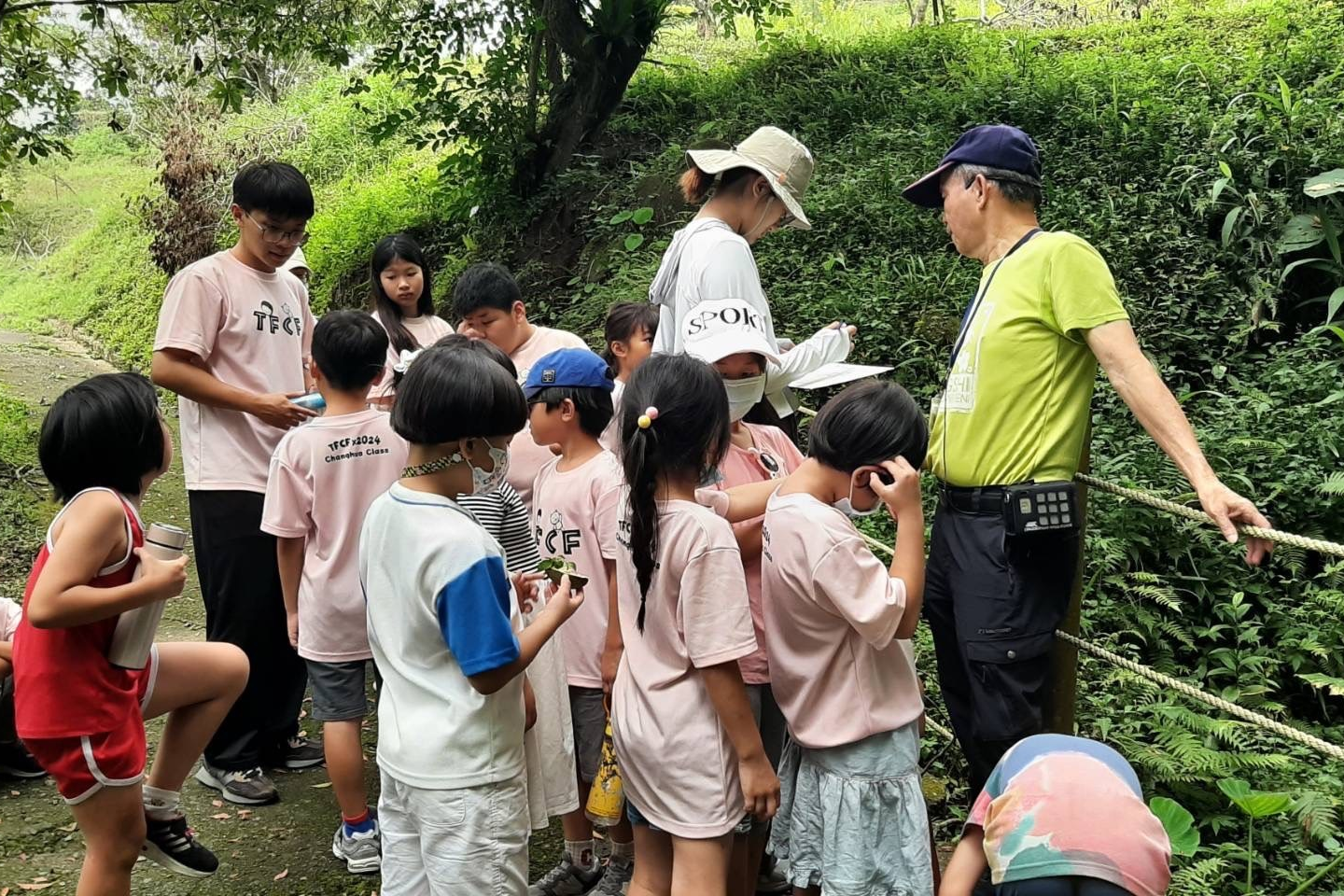 導覽員解說山芋和姑婆芋的不同