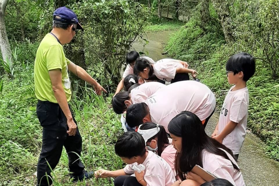 學員認識魚腥草