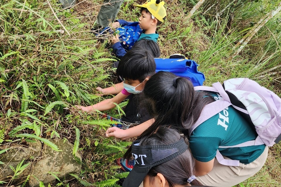 溫泉國小從實驗教育走回體制內，以過去的經驗為根基，發展「類實驗教育」。