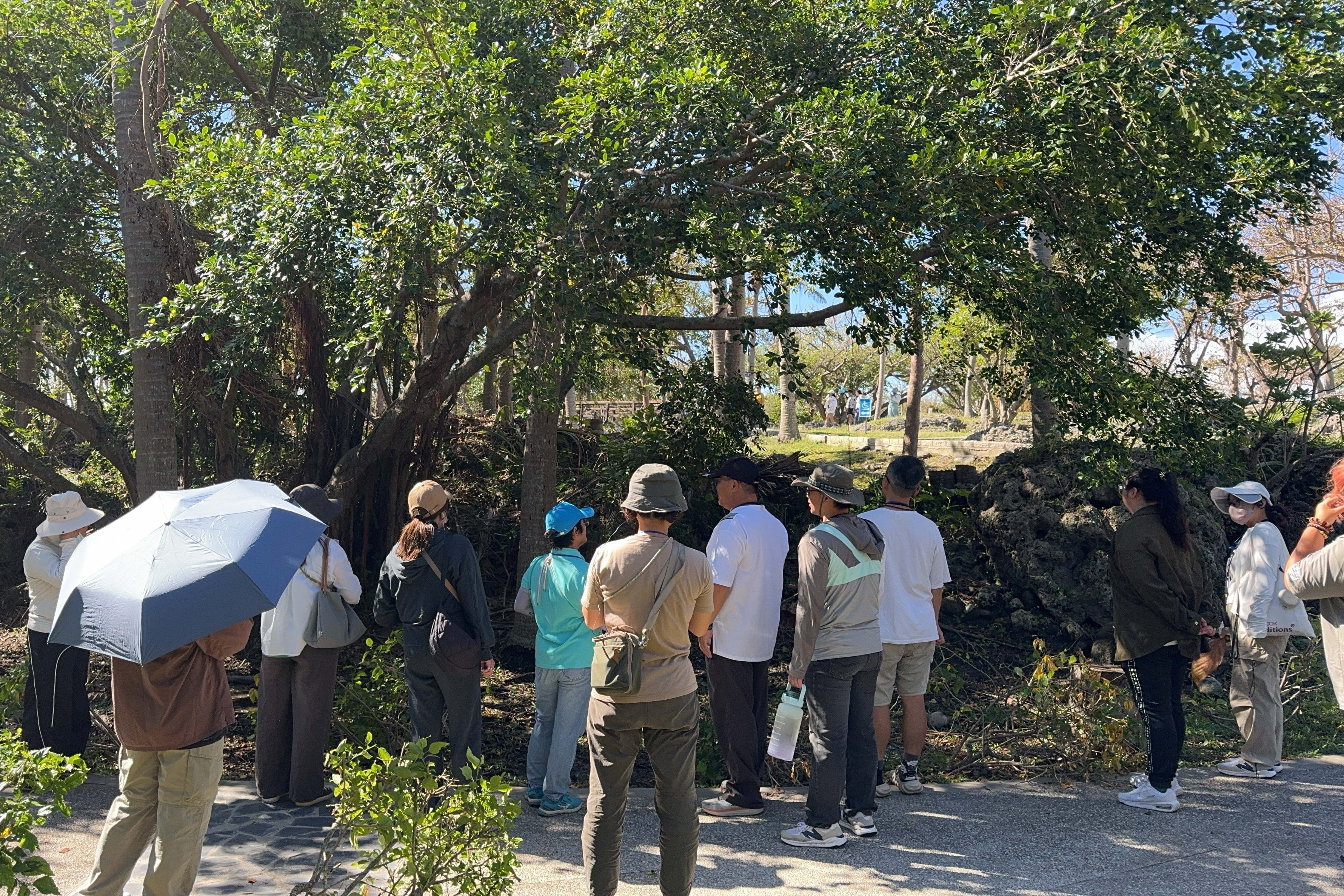 專業導覽富岡地質公園 探索海濱植物