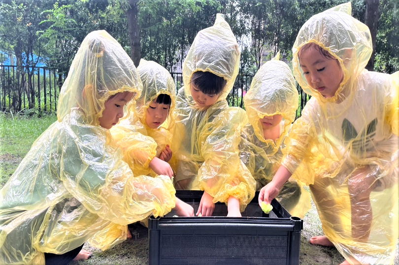 夢不落幼兒園運用學校生態優勢自製蚯蚓堆肥箱營養滿分的沃土耕種